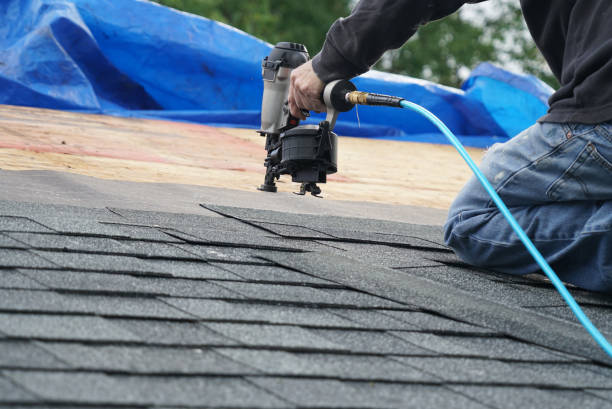 Roof Moss and Algae Removal in Laurinburg, NC